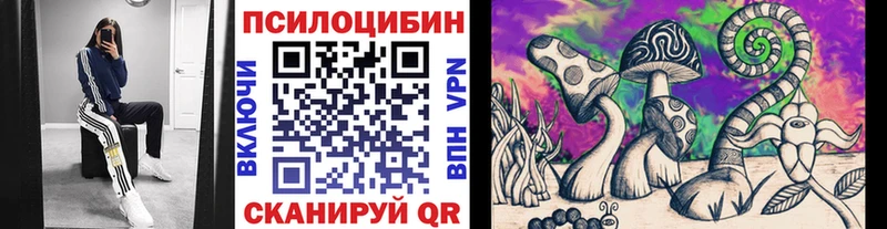 Псилоцибиновые грибы MAGIC MUSHROOMS  Кологрив 